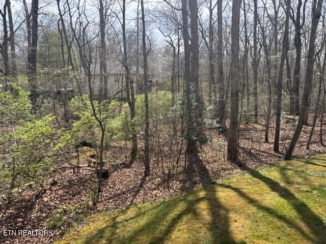 101 Hilton Lane, Crossville, TN 38558