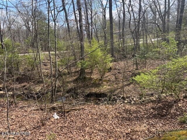 101 Hilton Lane, Crossville, TN 38558