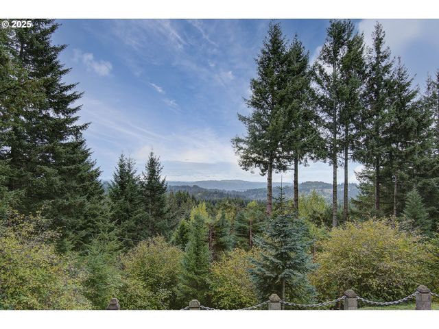 32320 Ne AMMETER Rd, Washougal, WA 98671