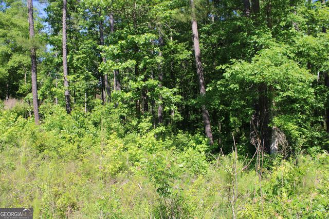 343 S Singley Drive, Locust Grove, GA 30248