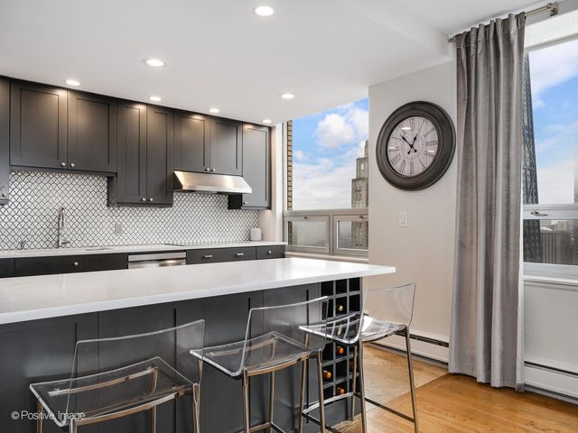 1000 N LAKE SHORE Plaza 39C, Chicago, IL 60611