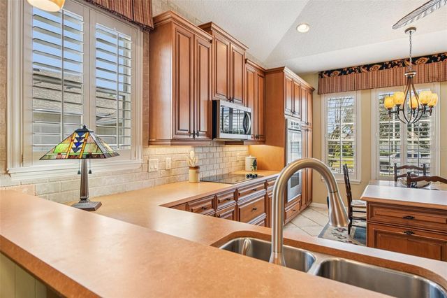 8013 PINE HOLLOW DRIVE, Mount Dora, FL 32757