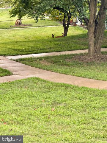 14603 EDELMAR DR #132-A, Silver Spring, MD 20906