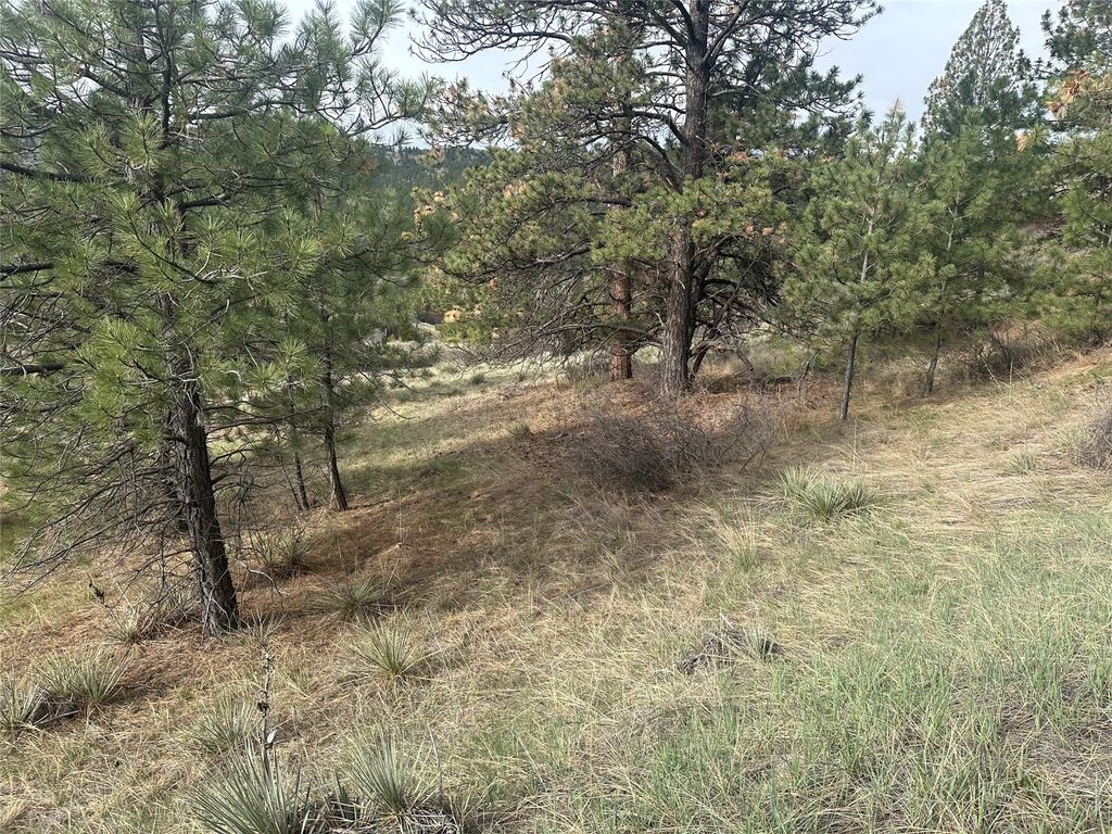 419 Dearborn River Road, Cascade, MT 59421 photo 4
