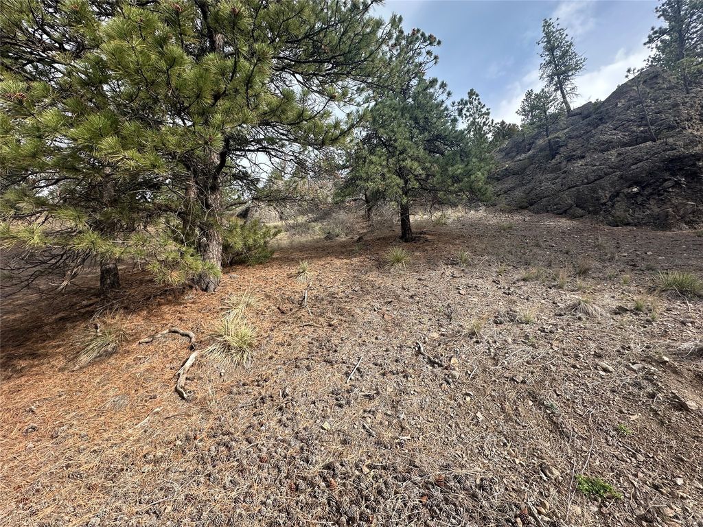 419 Dearborn River Road, Cascade, MT 59421 photo 7
