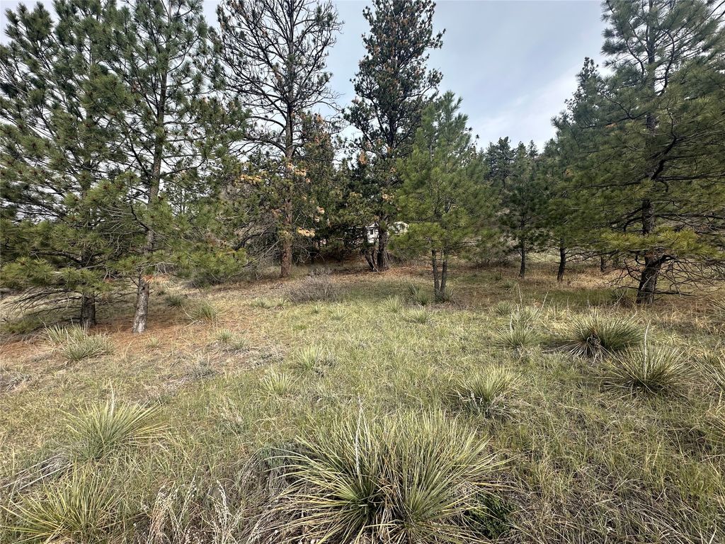 419 Dearborn River Road, Cascade, MT 59421 photo 9