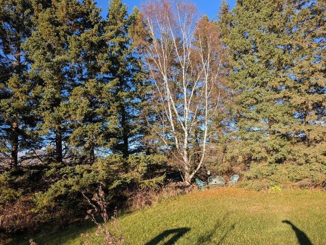 246347 STATE HIGHWAY 97, Athens, WI 54411