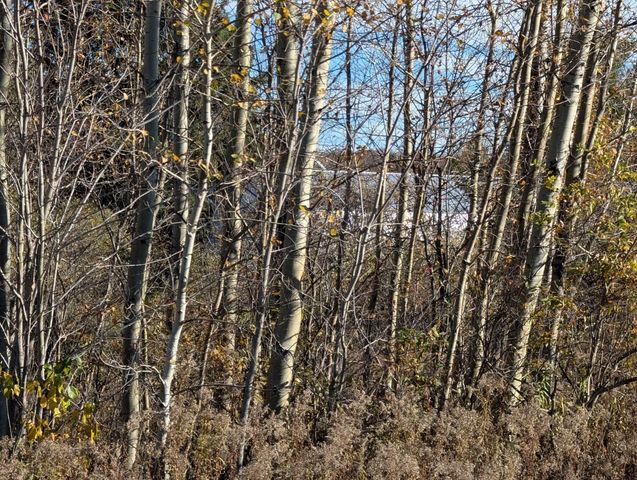 246347 STATE HIGHWAY 97, Athens, WI 54411