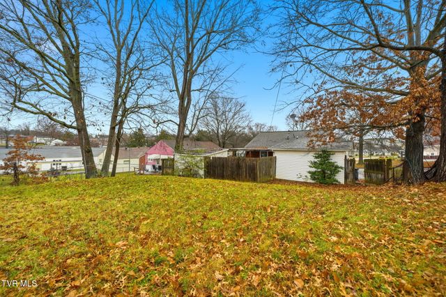 1413 Pineola Avenue, Kingsport, TN 37664