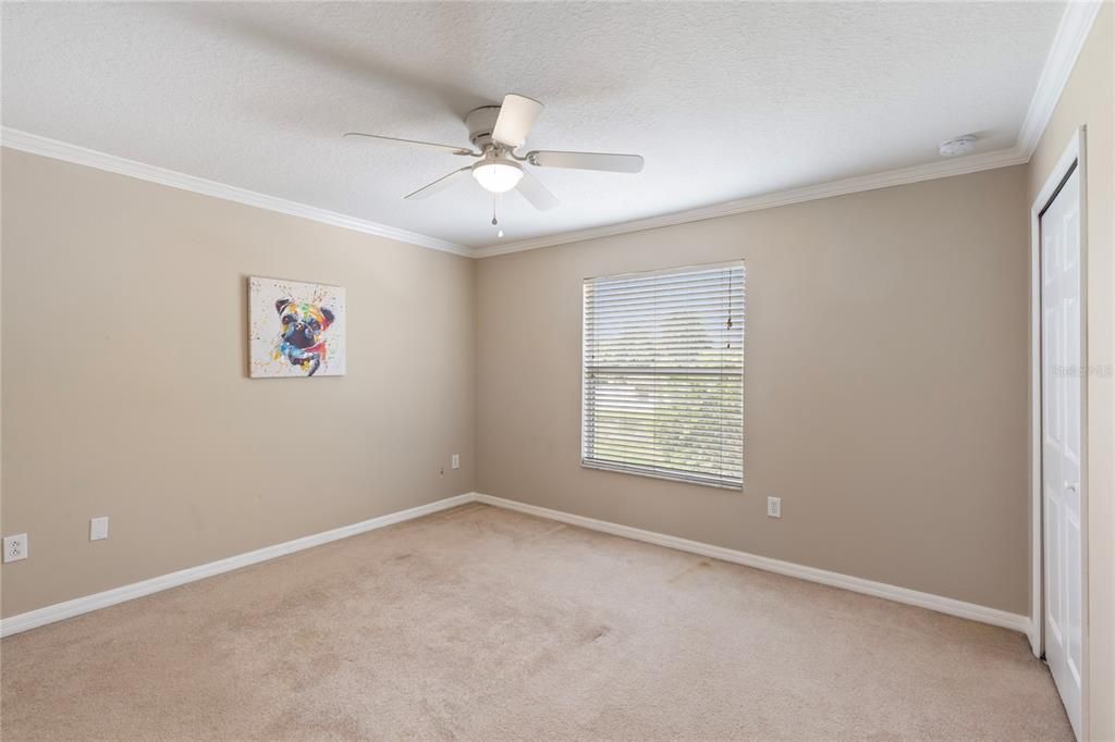 Image 43 of property listing at 3255 DUNSTABLE DRIVE, Land O Lakes, FL 34638