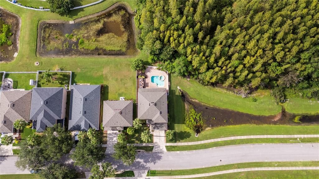 Image 48 of property listing at 3255 DUNSTABLE DRIVE, Land O Lakes, FL 34638