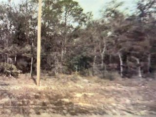 0 CHIPO STREET 0, Interlachen, FL 32148
