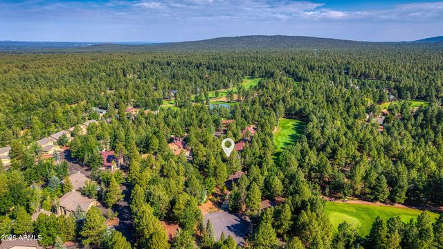 3723 CROWN DANCER Drive, Pinetop, AZ 85935