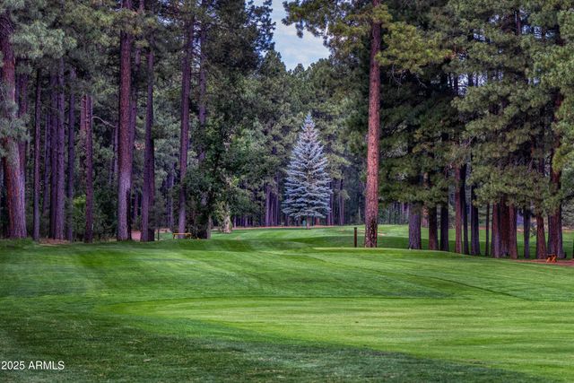 3723 CROWN DANCER Drive, Pinetop, AZ 85935