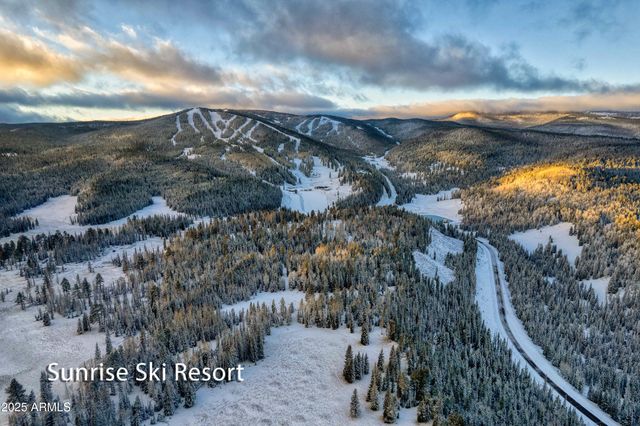 3723 CROWN DANCER Drive, Pinetop, AZ 85935