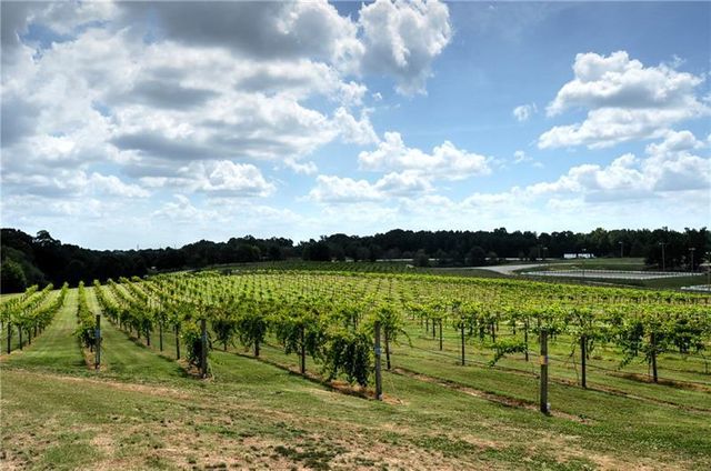 5844 Yoshino Cherry Lane, Braselton, GA 30517