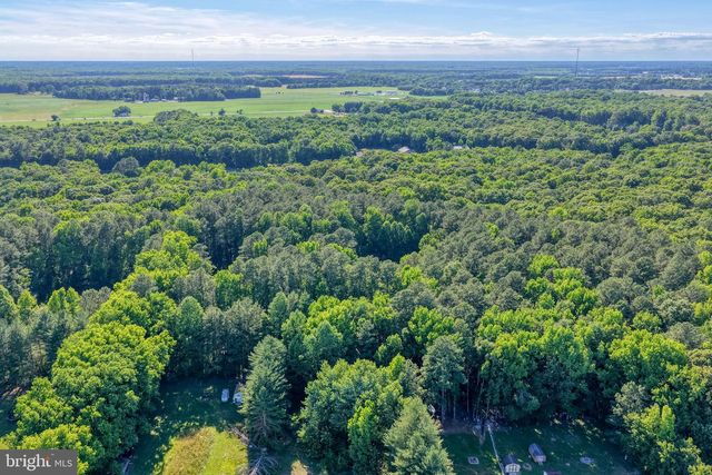 979 BARNEY JENKINS RD, Felton, DE 19943