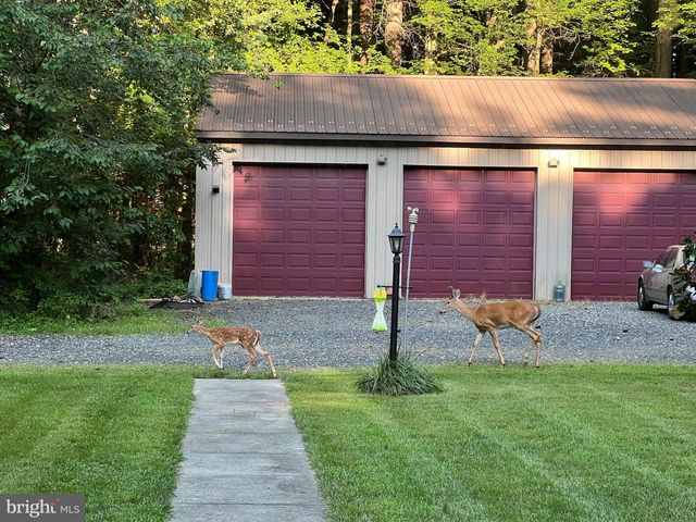 979 BARNEY JENKINS RD, Felton, DE 19943