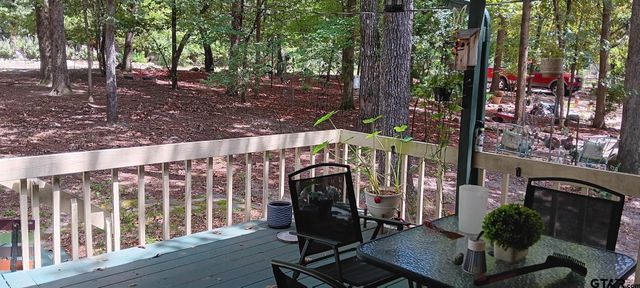 275 Wildwood Trail, Holly Lake Ranch, TX 75765