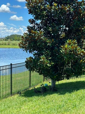 11819 IMAGINARY WAY, Orlando, FL 32832