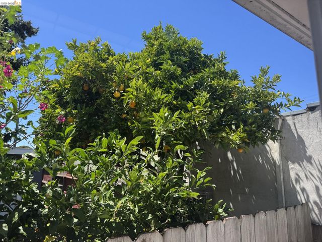 3212 Esmond Ave, Richmond, CA 94804