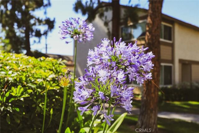 1419 Norwich Lane, La Habra, CA 90631