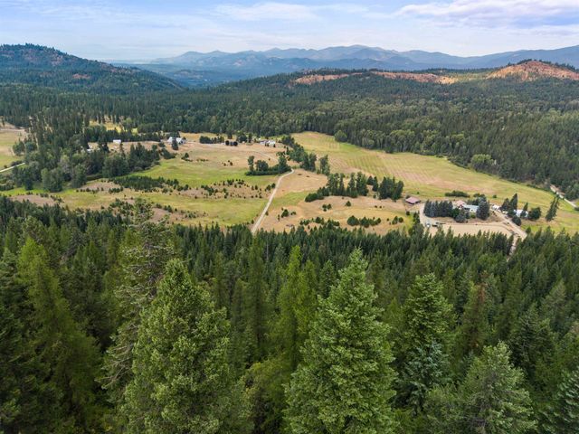 4851 Coyote Trl, Newport, WA 99156