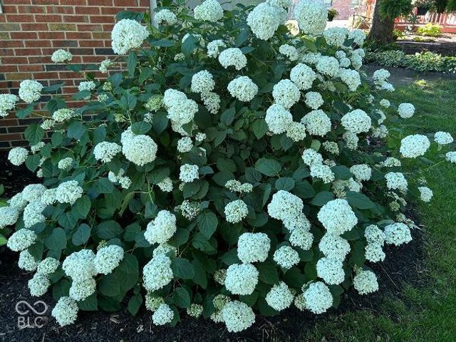 8305 Union Street, Indianapolis, IN 46227