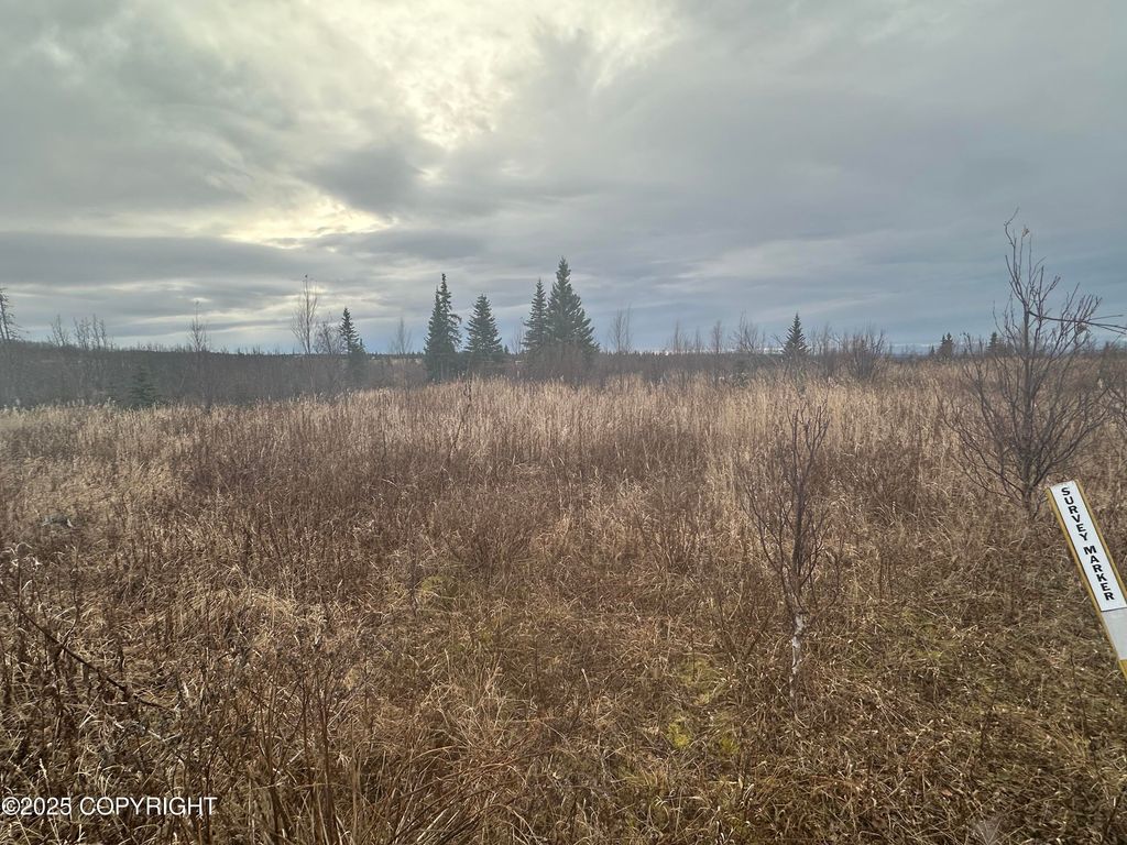 004 Wells Street, Ninilchik, AK 99639