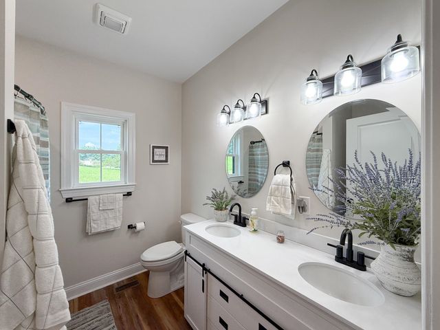 643 CATTLE SCALES RD, Waynesboro, VA 22980