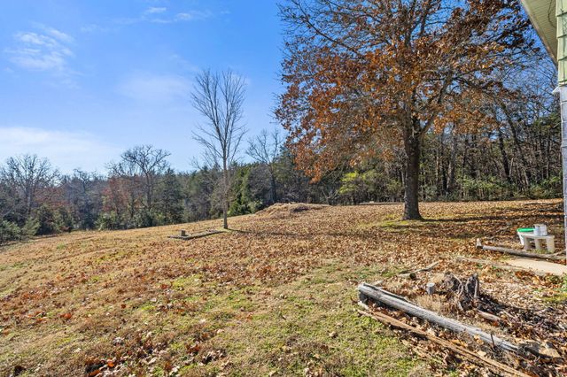 1154-1156 State Hwy 76, Branson, MO 65616