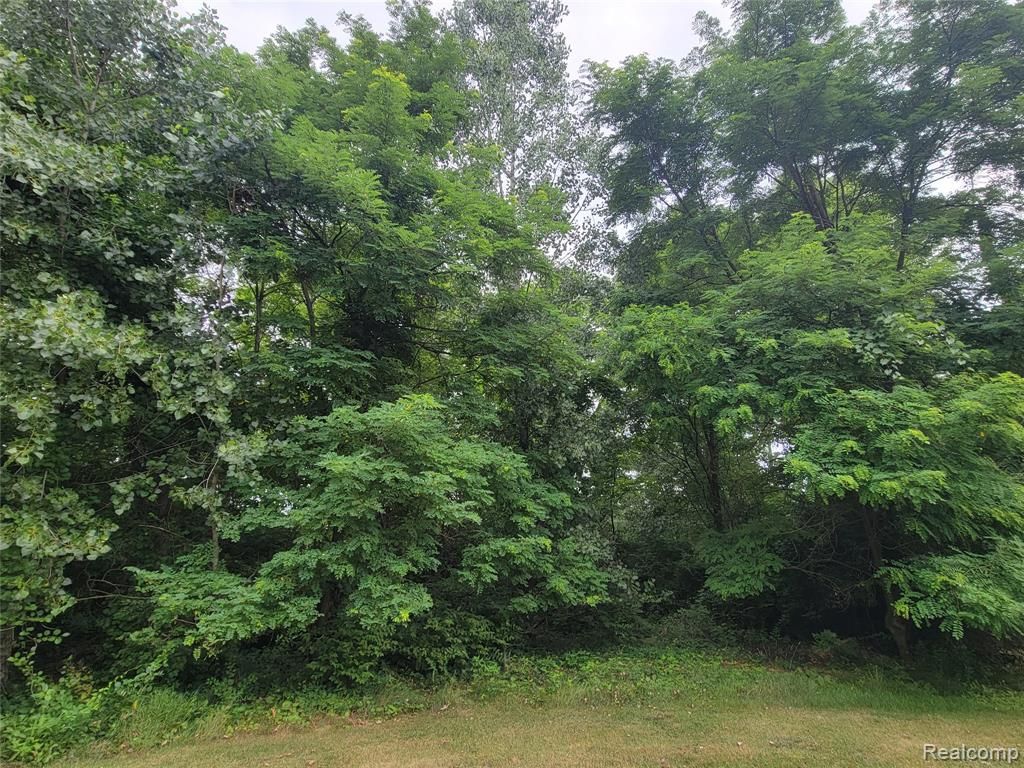 Lot 21 - Rexford Court, Brighton, MI 48116