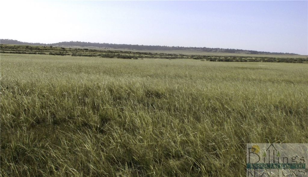 NHN Lindstrom ROAD, Shepherd, MT 59079 photo 13