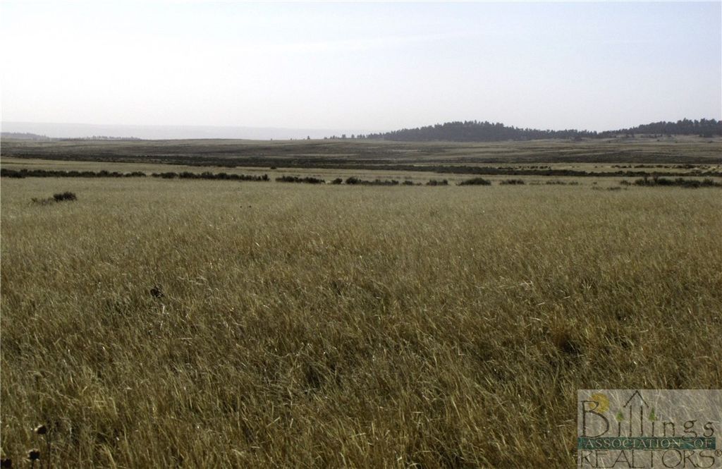 NHN Lindstrom ROAD, Shepherd, MT 59079 photo 2