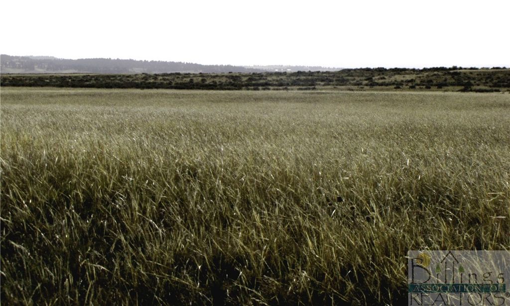 NHN Lindstrom ROAD, Shepherd, MT 59079 photo 27