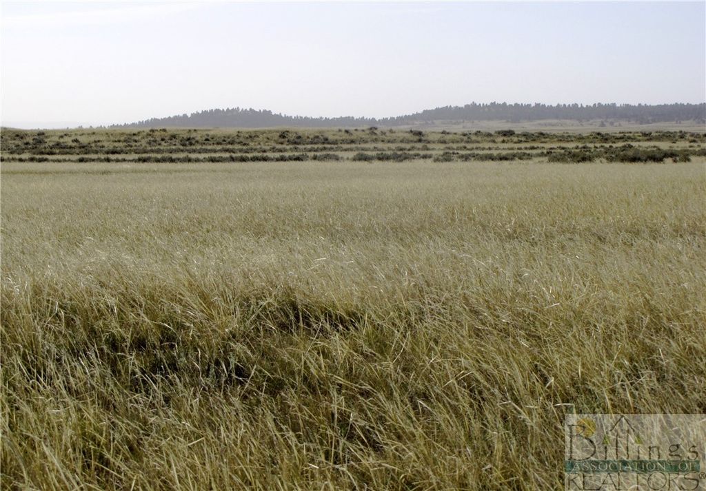 NHN Lindstrom ROAD, Shepherd, MT 59079 photo 29