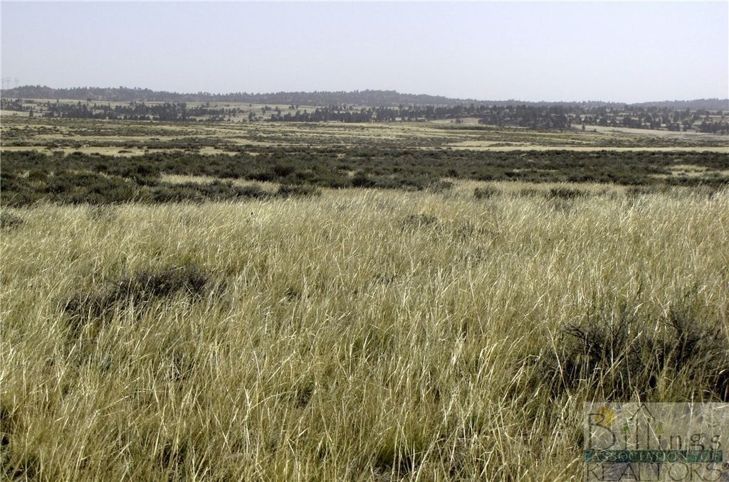 NHN Lindstrom ROAD, Shepherd, MT 59079 photo 4