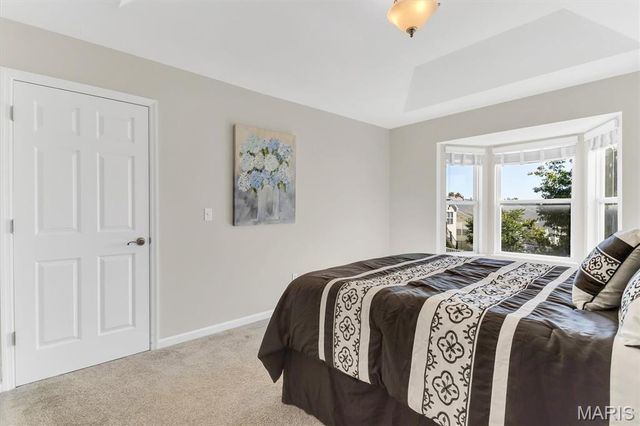 447 Angelique Place, St Charles, MO 63303