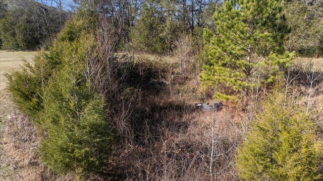 25 Cardinal Rd, Linden, TN 37096