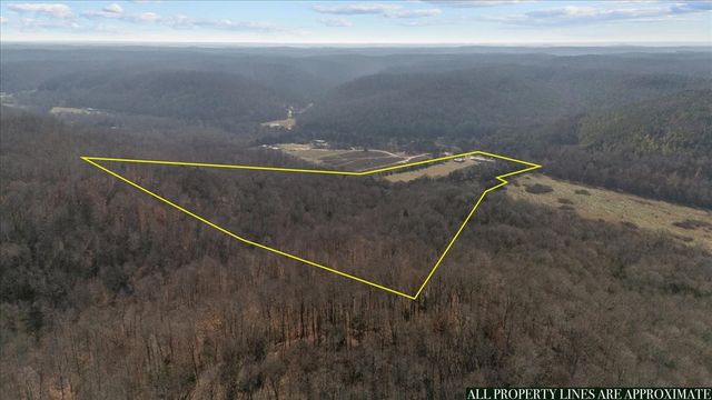 25 Cardinal Rd, Linden, TN 37096