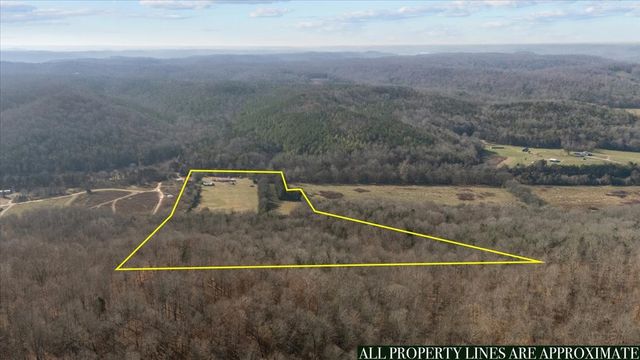 25 Cardinal Rd, Linden, TN 37096