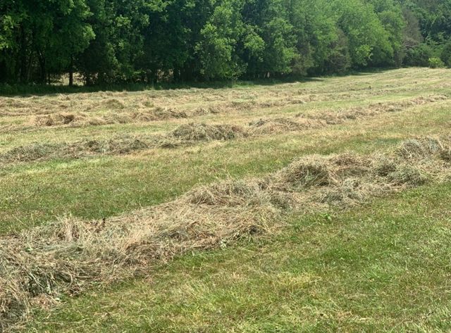 25 Cardinal Rd, Linden, TN 37096