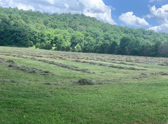 25 Cardinal Rd, Linden, TN 37096