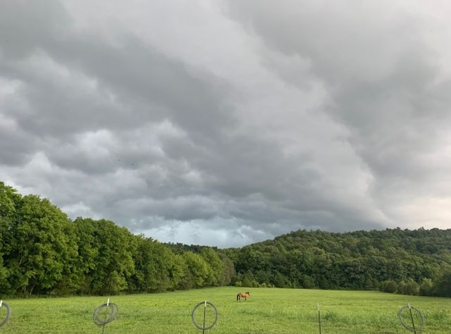 25 Cardinal Rd, Linden, TN 37096