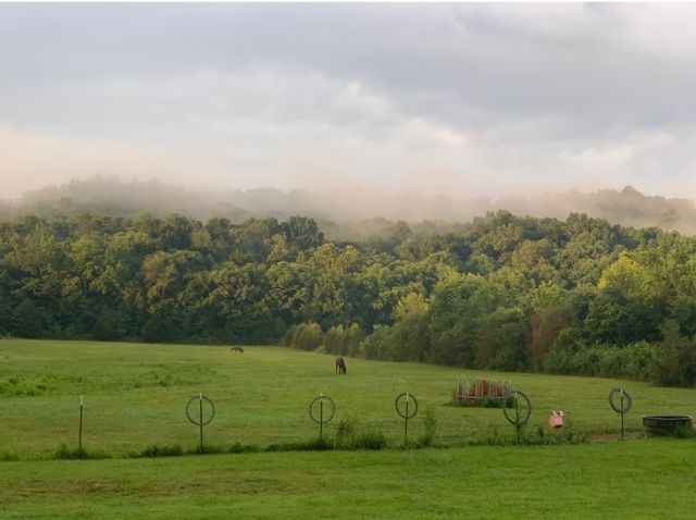 25 Cardinal Rd, Linden, TN 37096