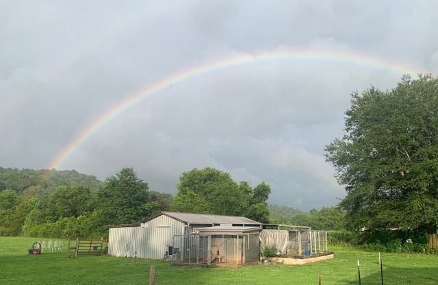 25 Cardinal Rd, Linden, TN 37096