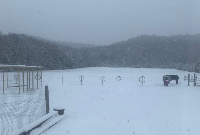 25 Cardinal Rd, Linden, TN 37096