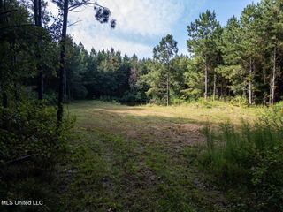 4069 Dixie Garden Road Road, Wesson, MS 39191