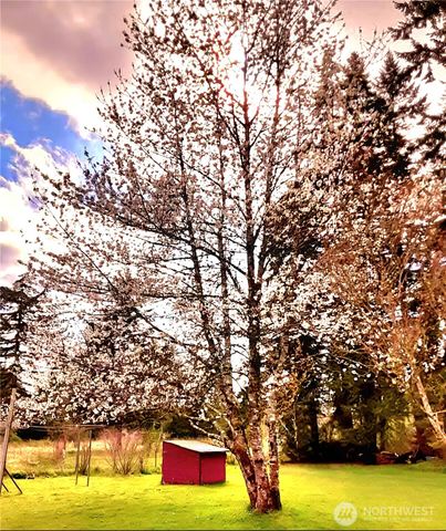 55 Church Road, Mccleary, WA 98557