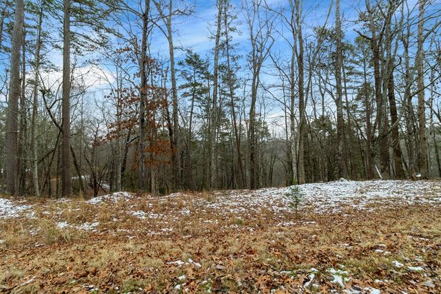 Lot 5 Curtis Ridge Road, Blue Ridge, GA 30513
